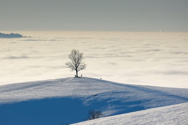 Landscape view